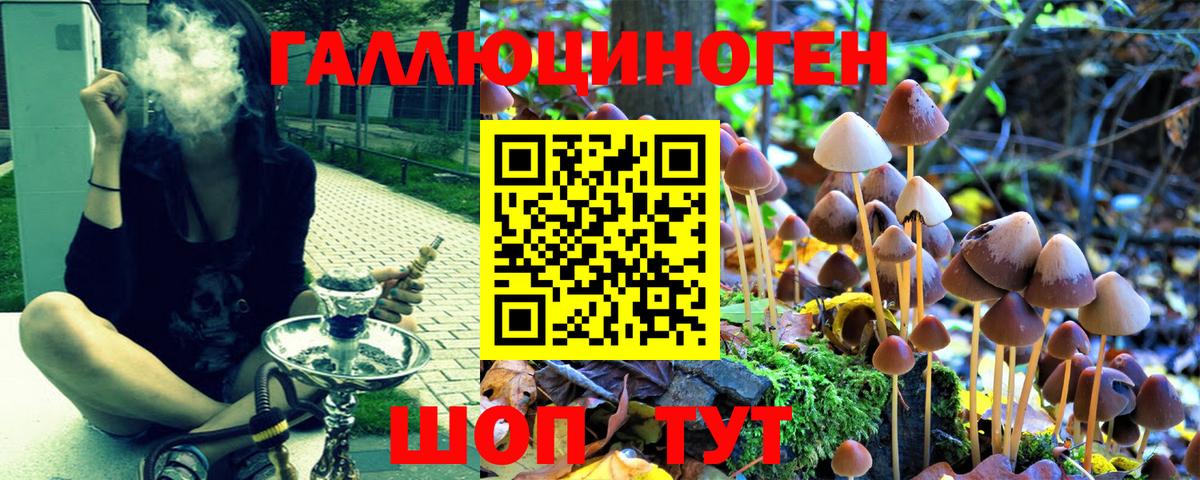 Псилоцибиновые грибы прущие грибы  Галлюциногенные грибы Psilocybe  где купить наркотик  Тула  Вход с VPN 